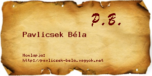 Pavlicsek Béla névjegykártya