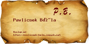 Pavlicsek Béla névjegykártya